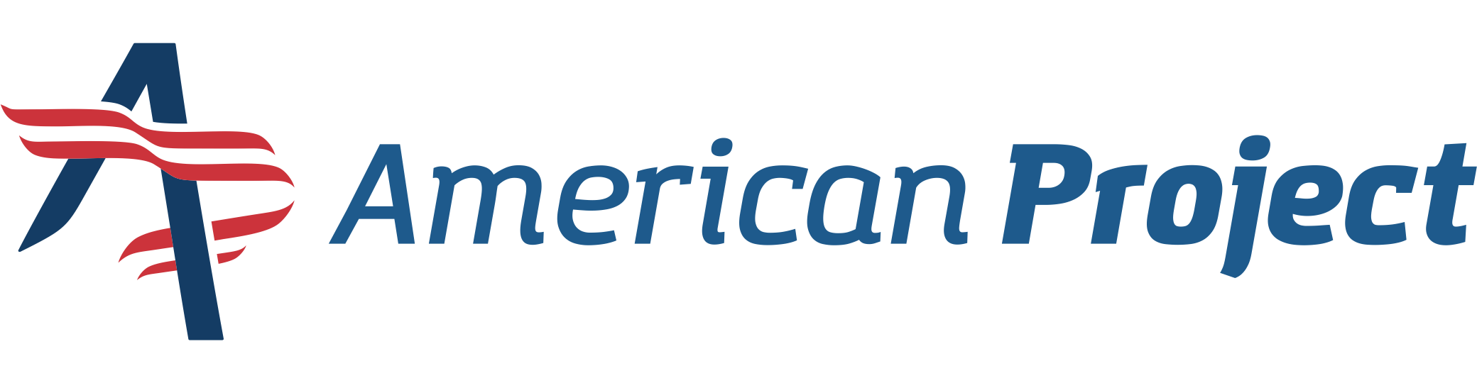 Logo American Project
